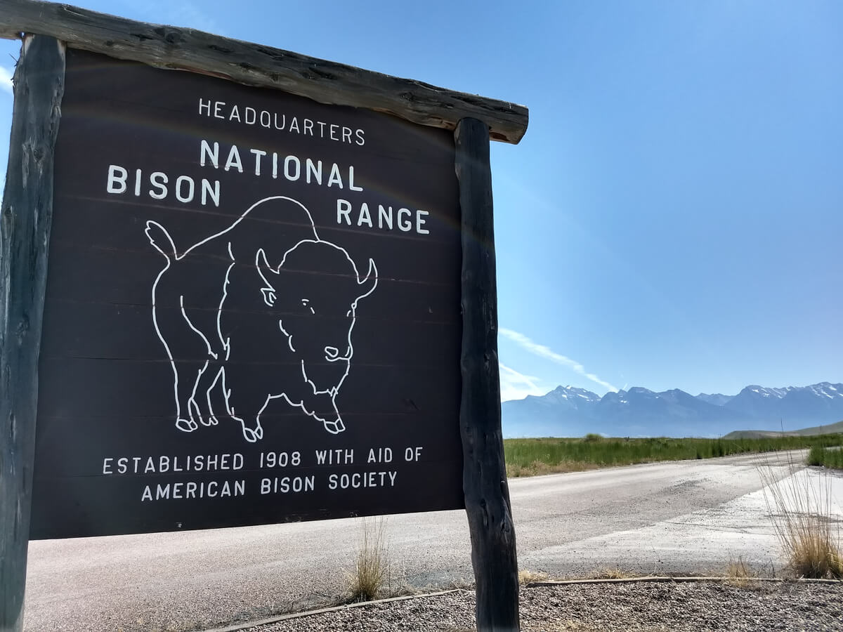 Berzowskis Summer Adventure: Missoula, MT