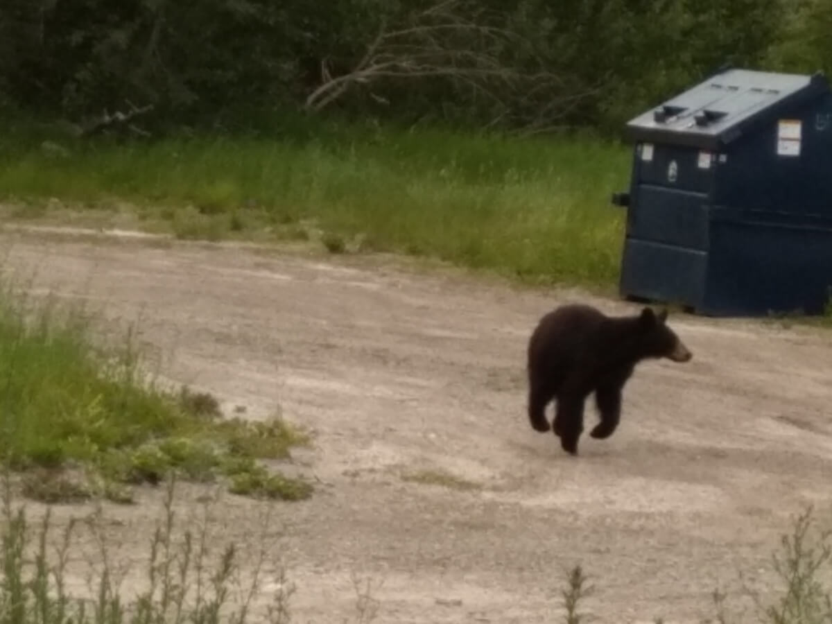 Berzowskis Summer Adventure: Glacier National Park