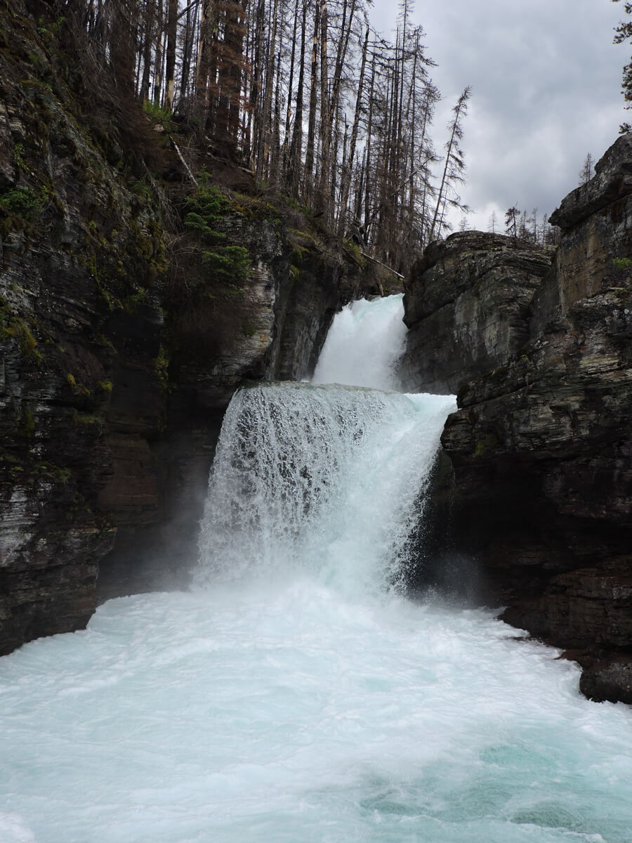Berzowskis Summer Adventure: Glacier National Park