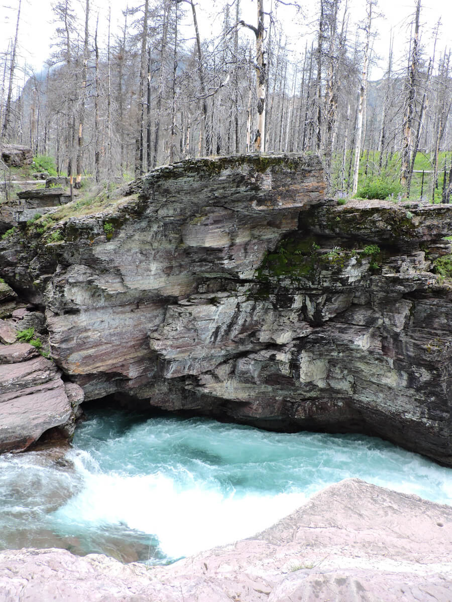 Berzowskis Summer Adventure: Glacier National Park