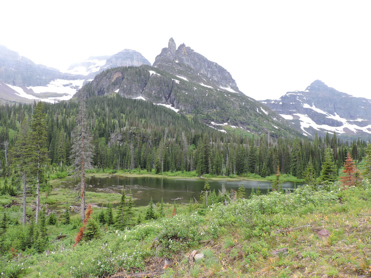 Berzowskis Summer Adventure: Glacier National Park