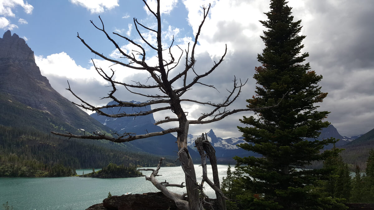 Berzowskis Summer Adventure: Glacier National Park
