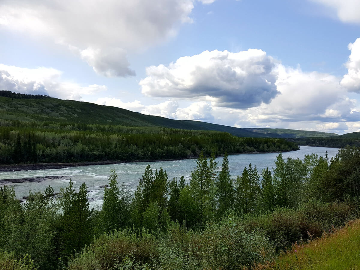 Landscape