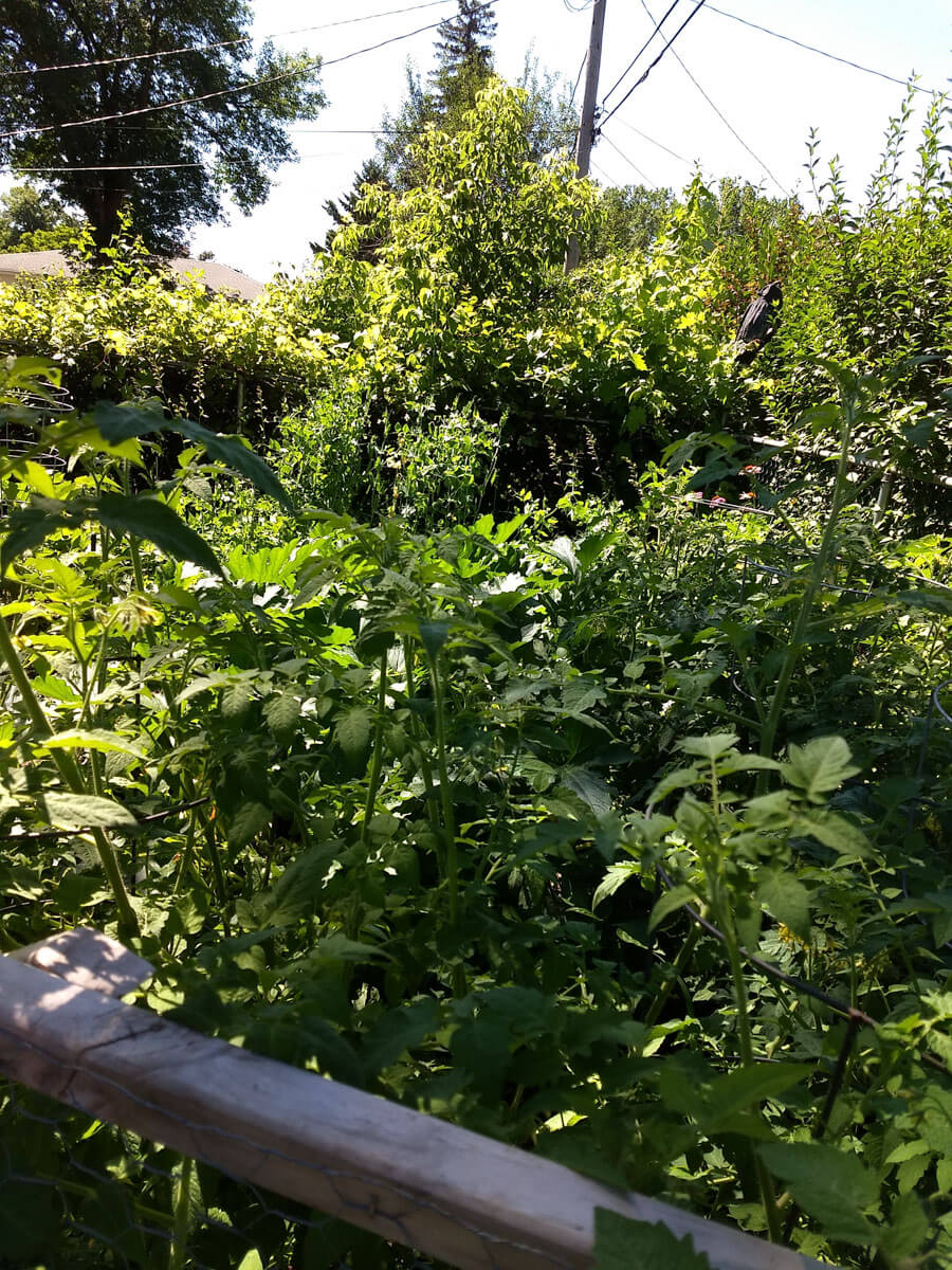 Berzowskis Summer Adventure: Heading Home