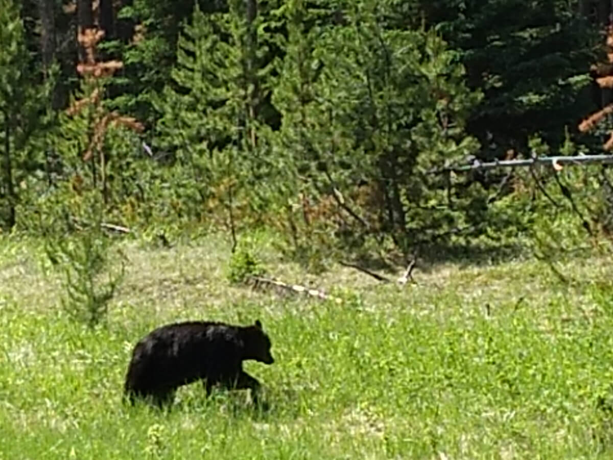 Berzowskis Alaska Adventure: Heading Out