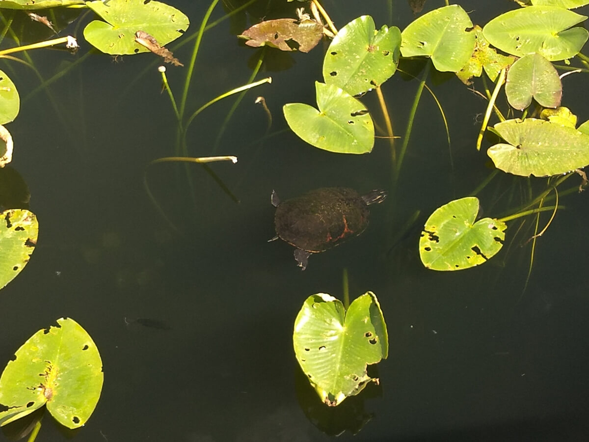 Berzowskis Spring Adventure: Key Largo, FL