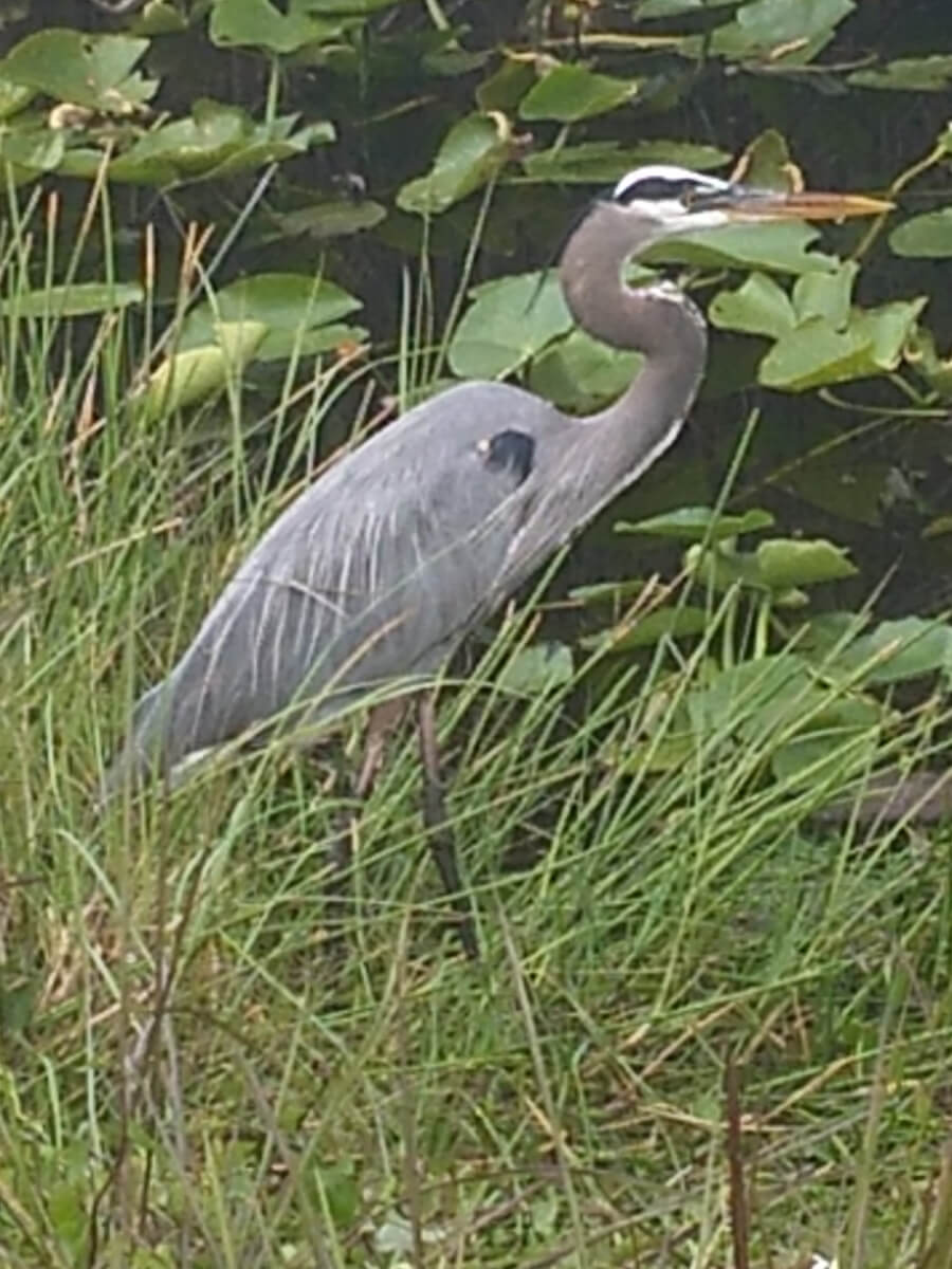 Berzowskis Spring Adventure: Key Largo, FL