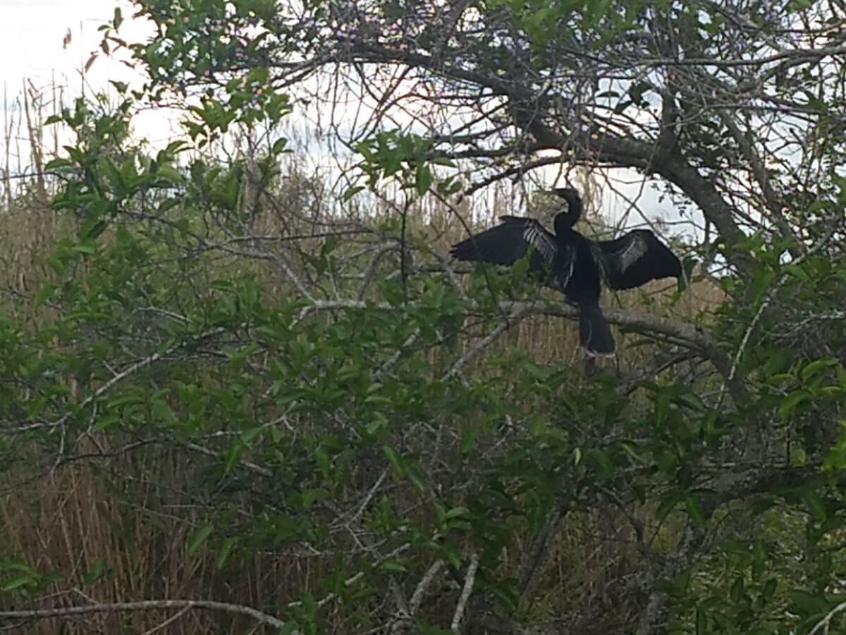 Berzowskis Spring Adventure: Key Largo, FL