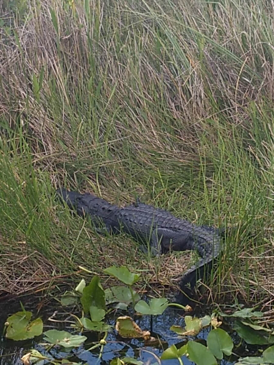 Berzowskis Spring Adventure: Key Largo, FL