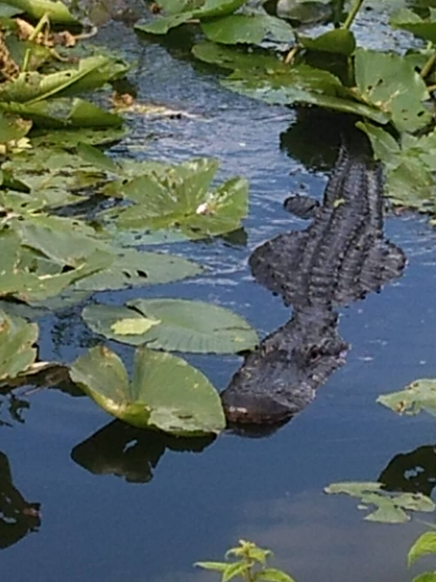 Berzowskis Spring Adventure: Key Largo, FL