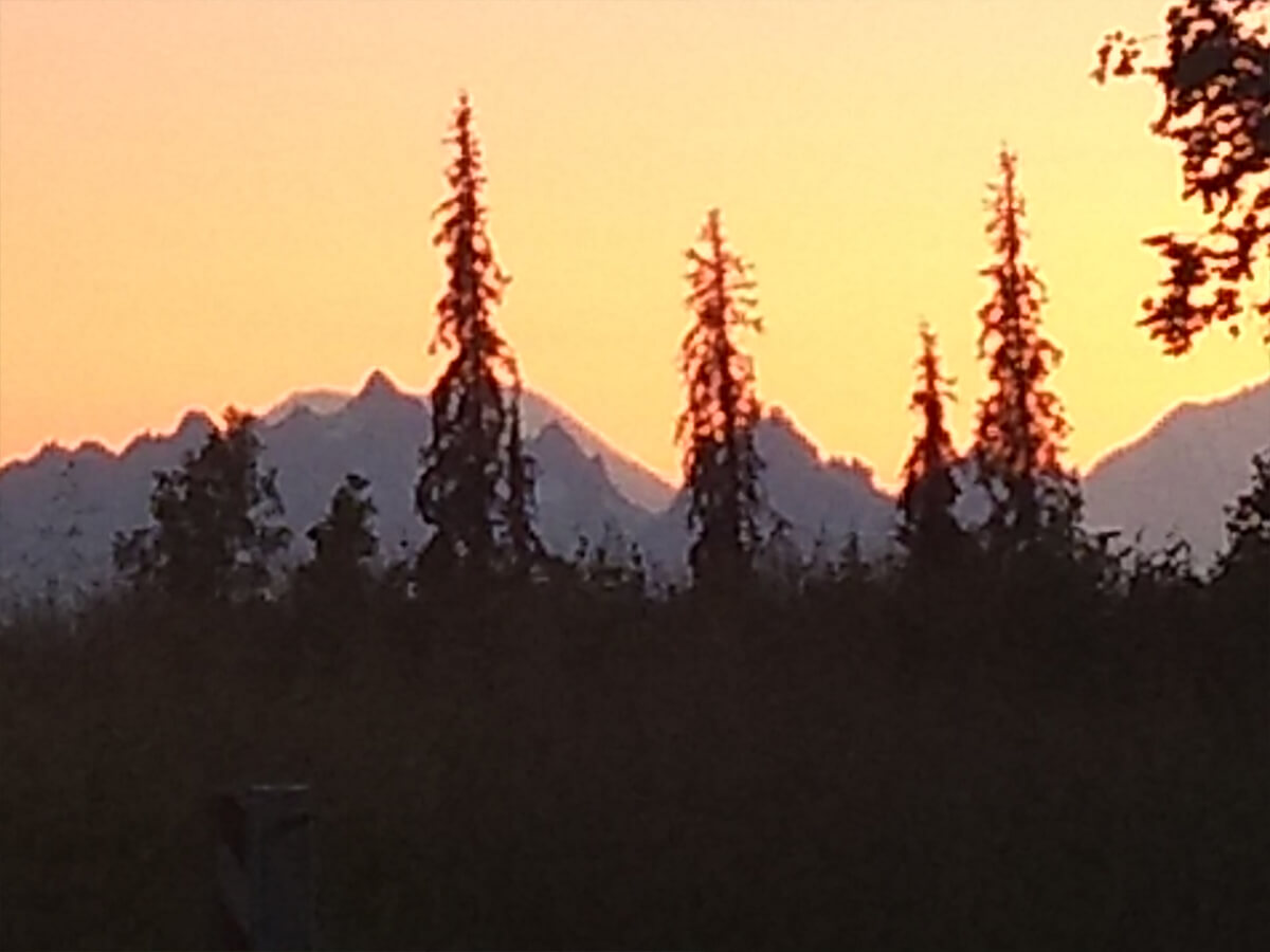 Berzowskis Alaska Adventure: Denali National Park