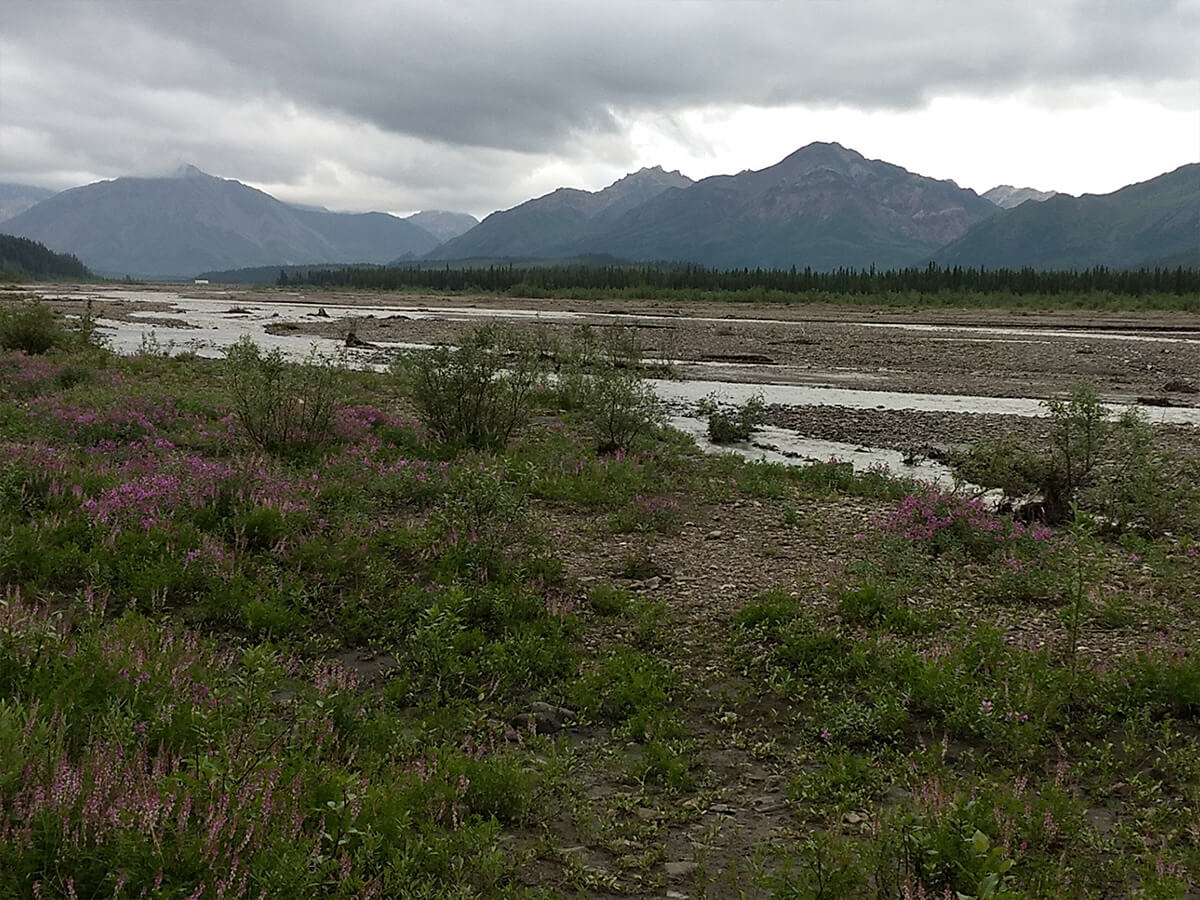 Berzowskis Alaska Adventure