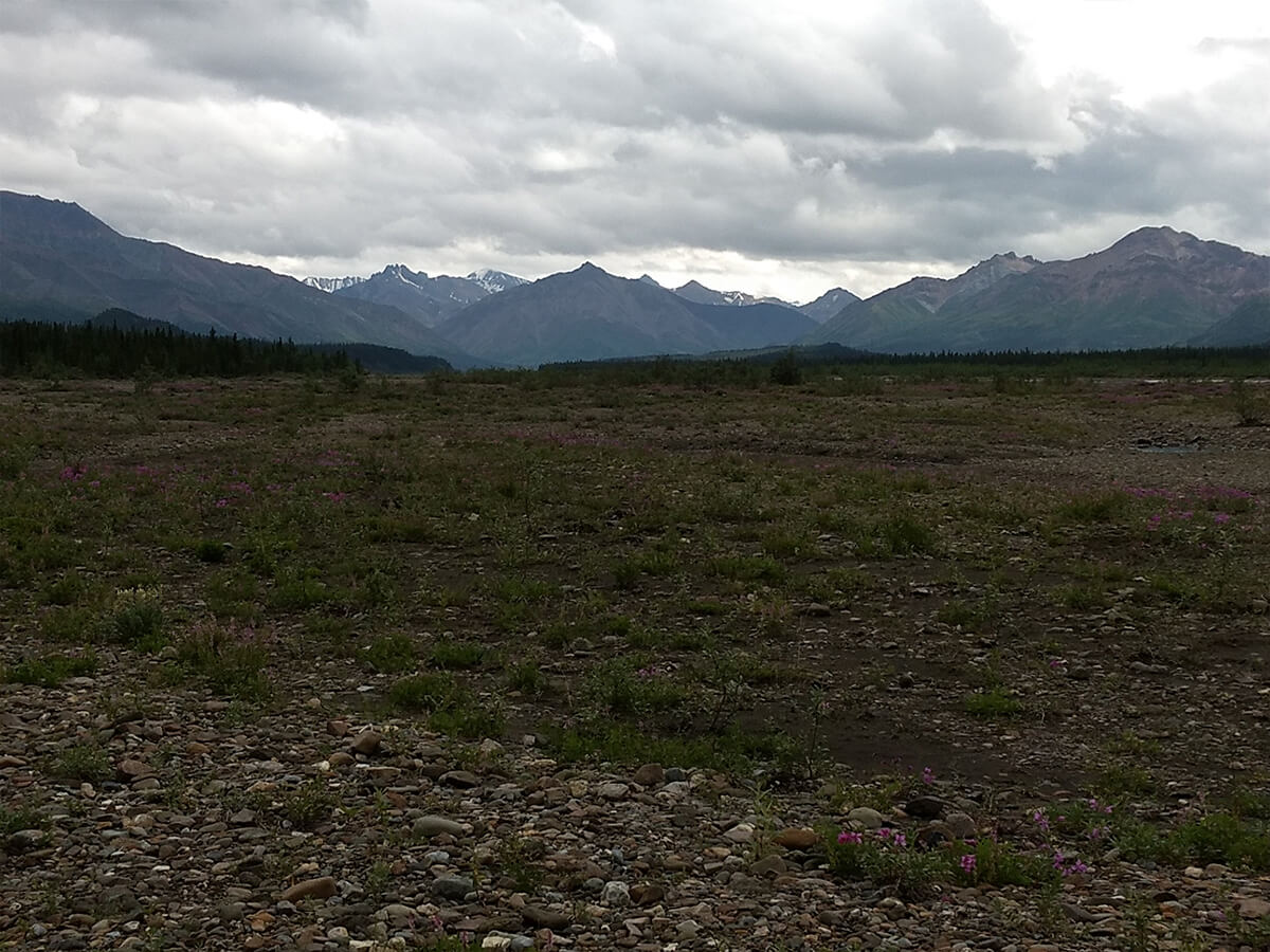 Berzowskis Alaska Adventure