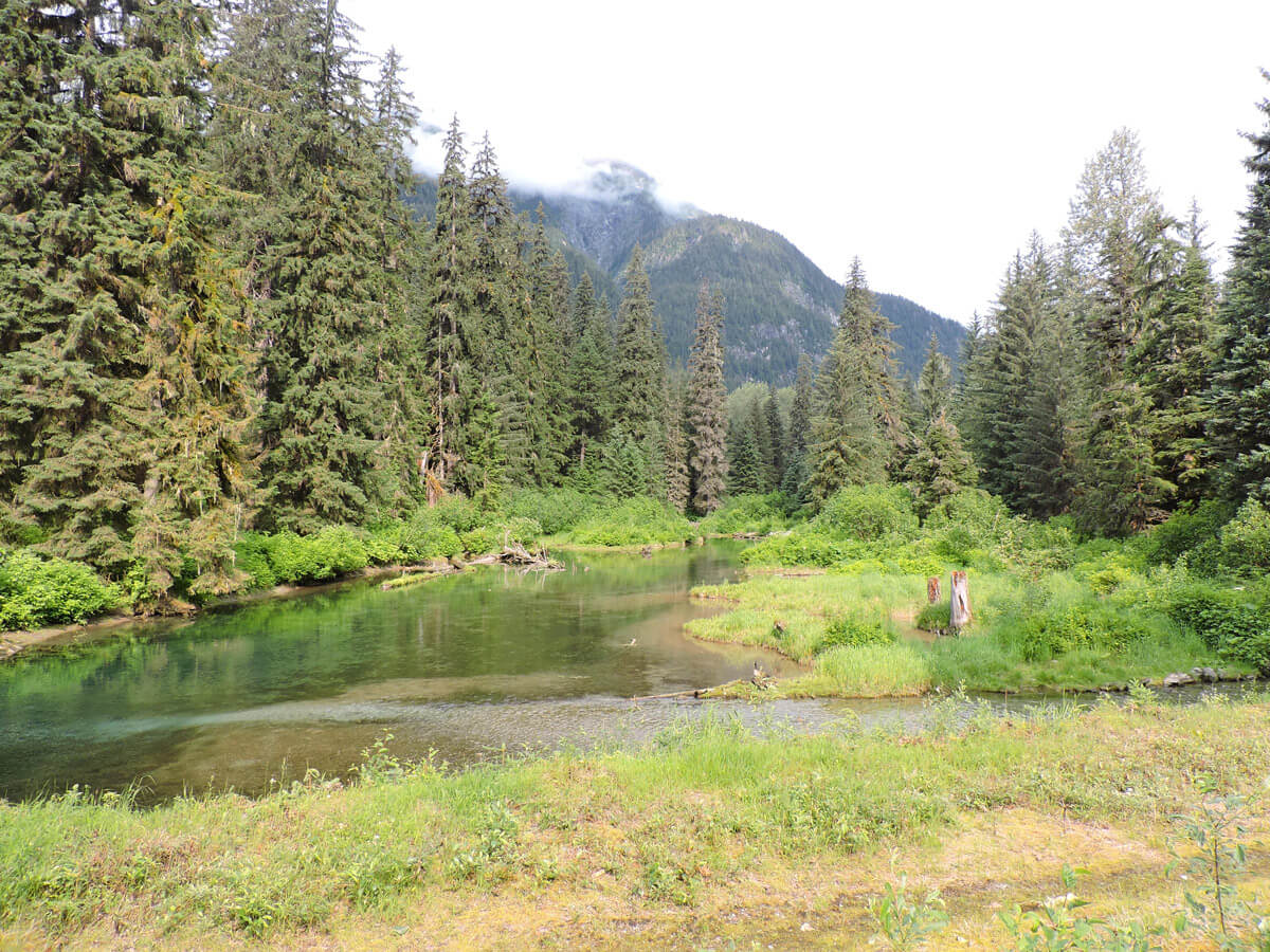 Berzowskis Alaska Adventure: British Columbia