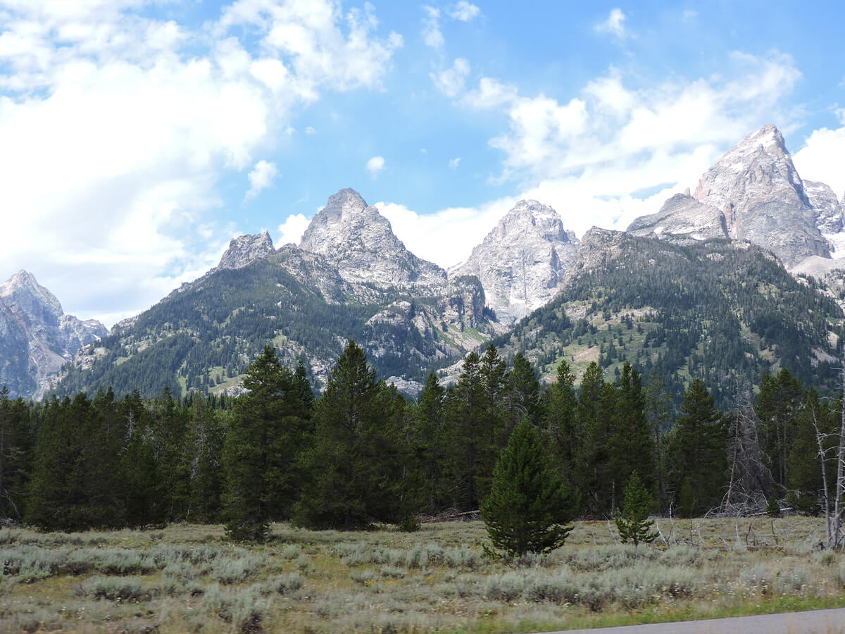 Landscape