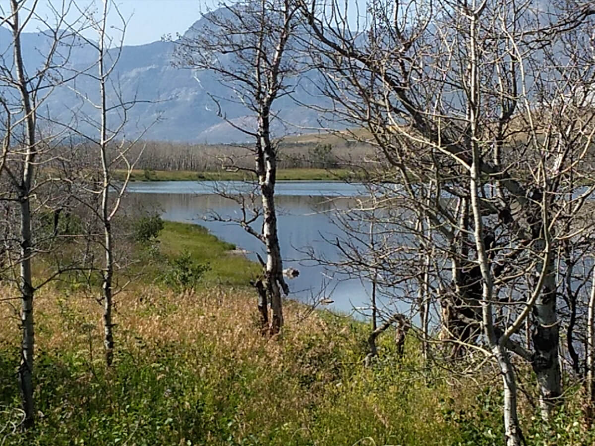 Berzowskis Alaska Adventure